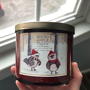 Bath & Body Works Spiced Apple Toddy Candle (New)